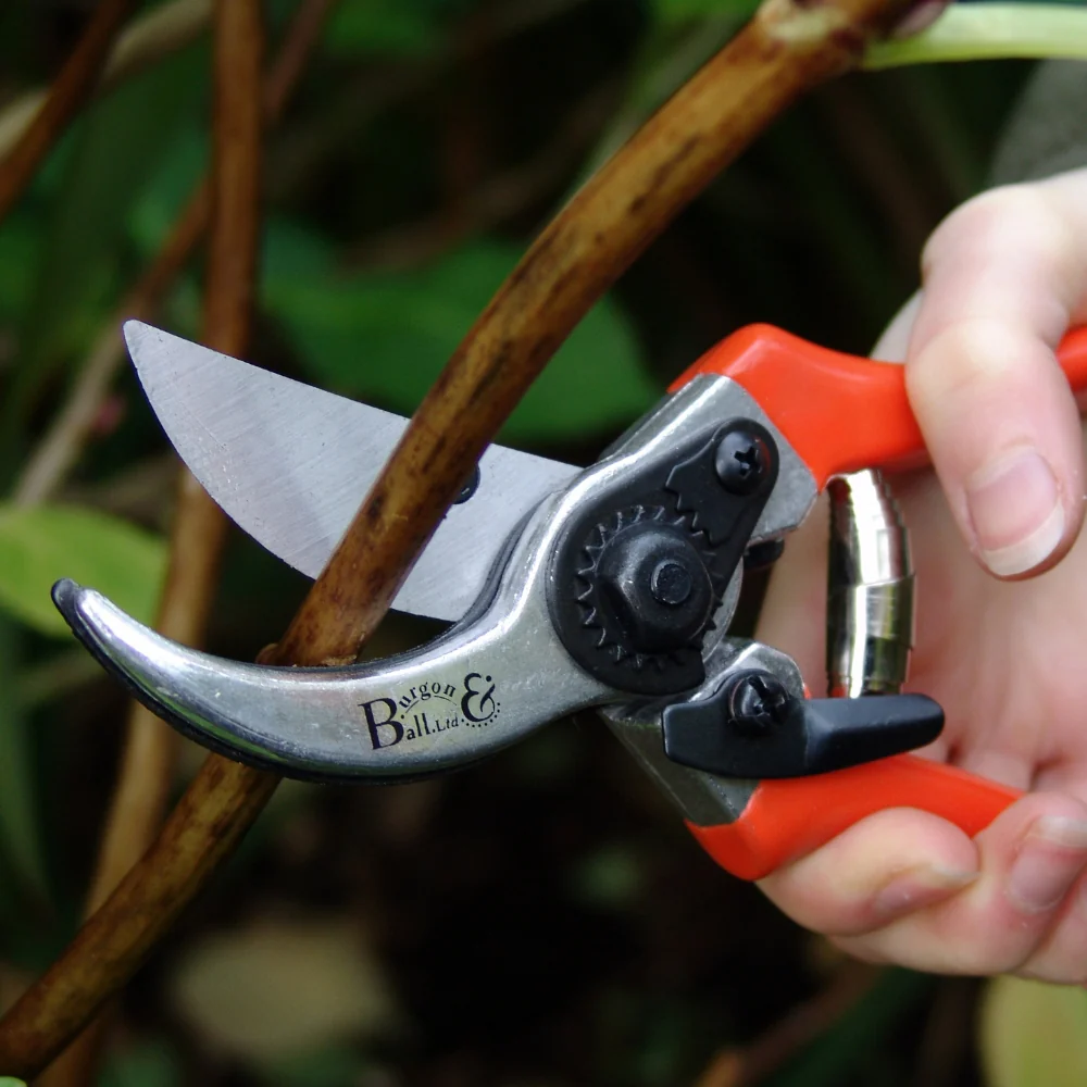 Gardening Essentials